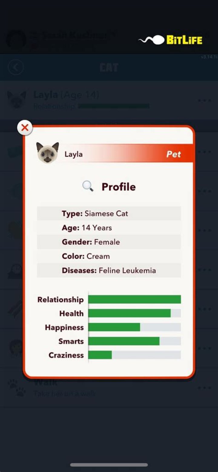 BitLife: How to Get More Space for Pets