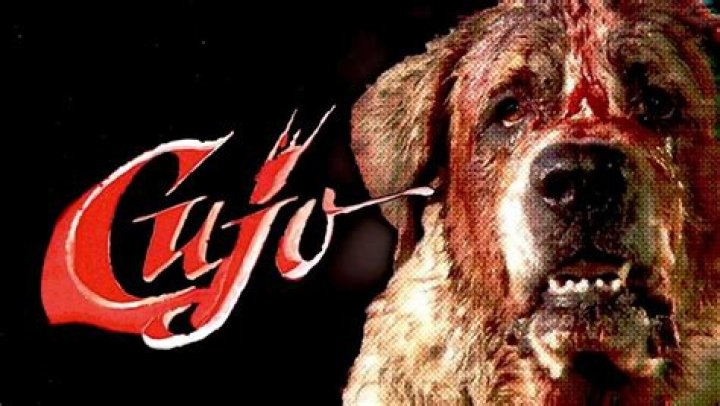 cujo horror movie
