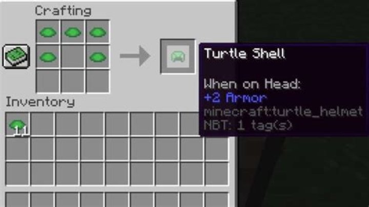 Minecraft: How to Get Turtle Shells