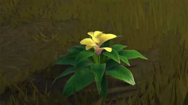 Yellow Bromeliad Location in Disney Dreamlight Valley